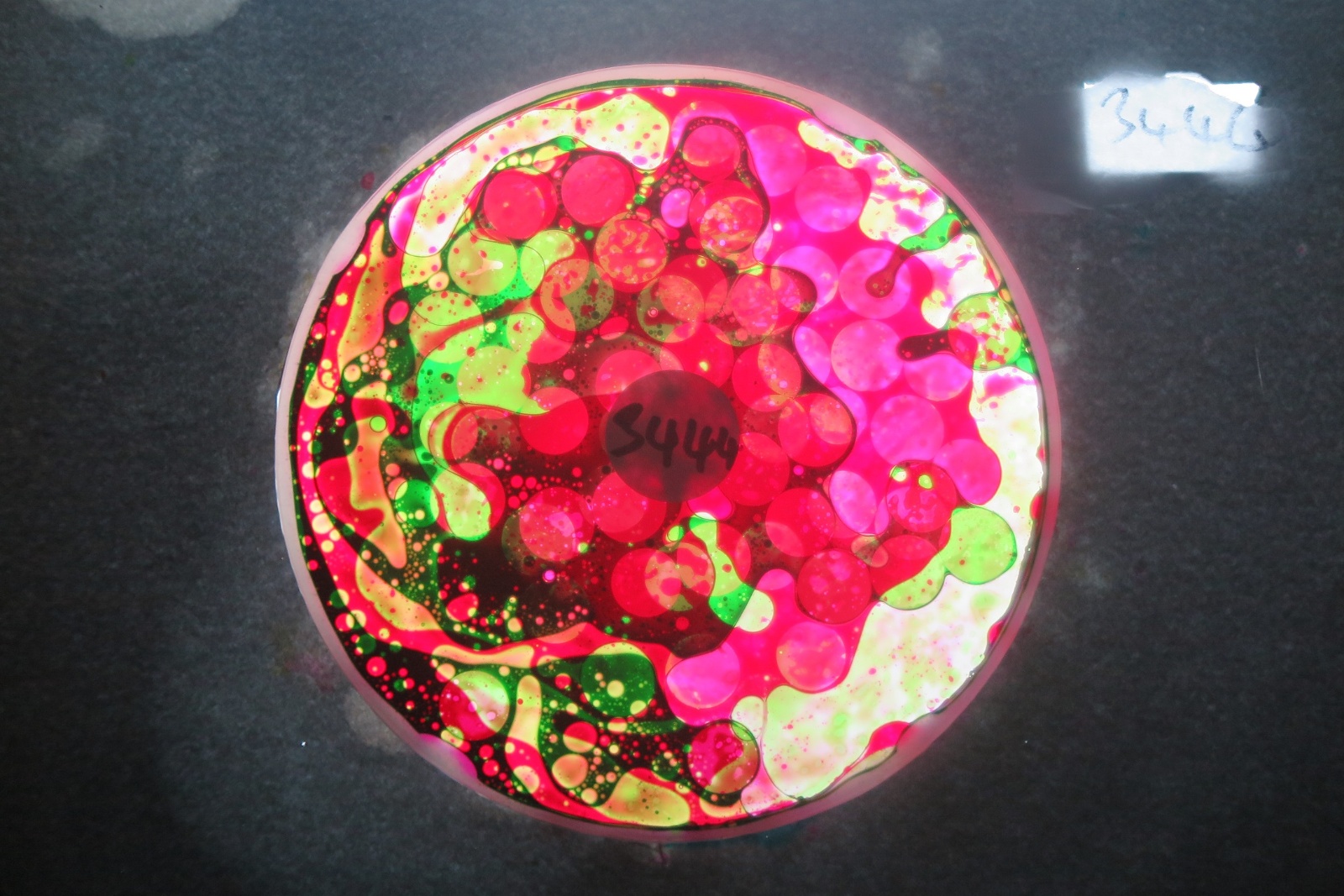 BV3444 bubble vision oil wheel